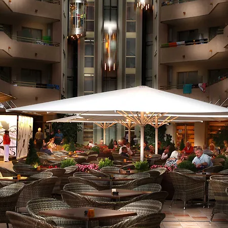 Alegria Florida Santa Susanna