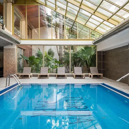 Alegria Florida Santa Susanna