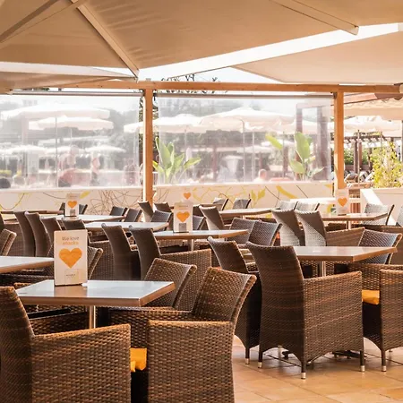 Alegria Florida Santa Susanna